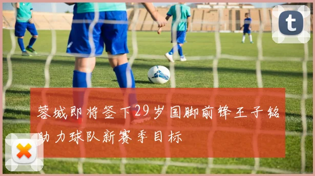 蓉城即将签下29岁国脚前锋王子铭助力球队新赛季目标