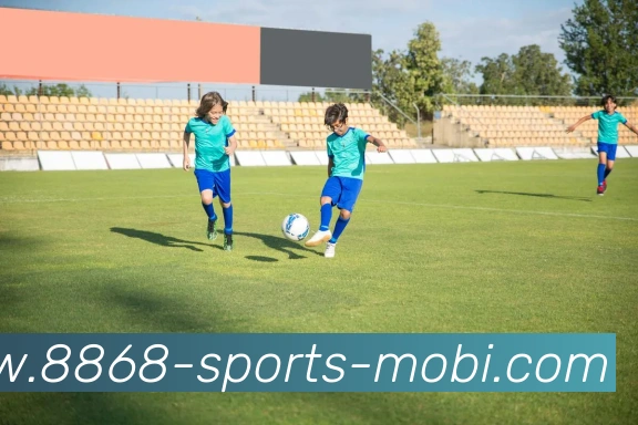 多媒体互动体验